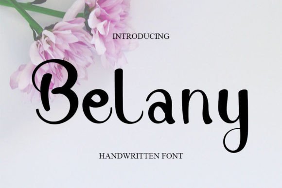 Belany: A Handwritten Font for Creative Projects